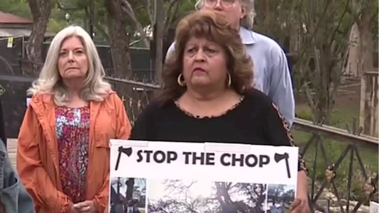 Brackenridge Park bond project opponents hope state commission will ‘stop the chop’