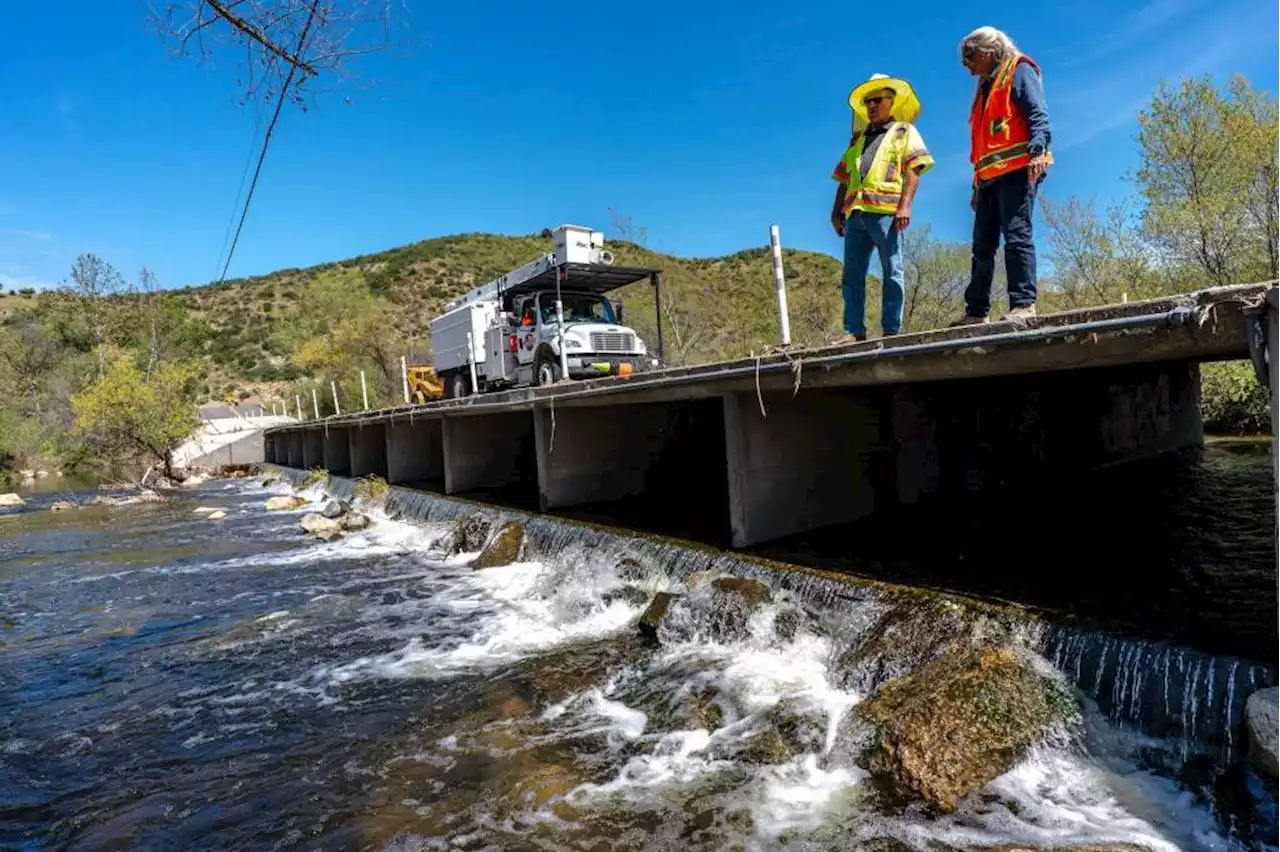 New bridge will let steelhead repopulate Southern California waters