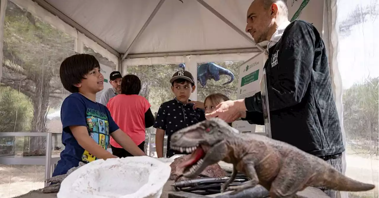 Aix-en-Provence : une chasse aux oeufs de... plusieurs millions d'années