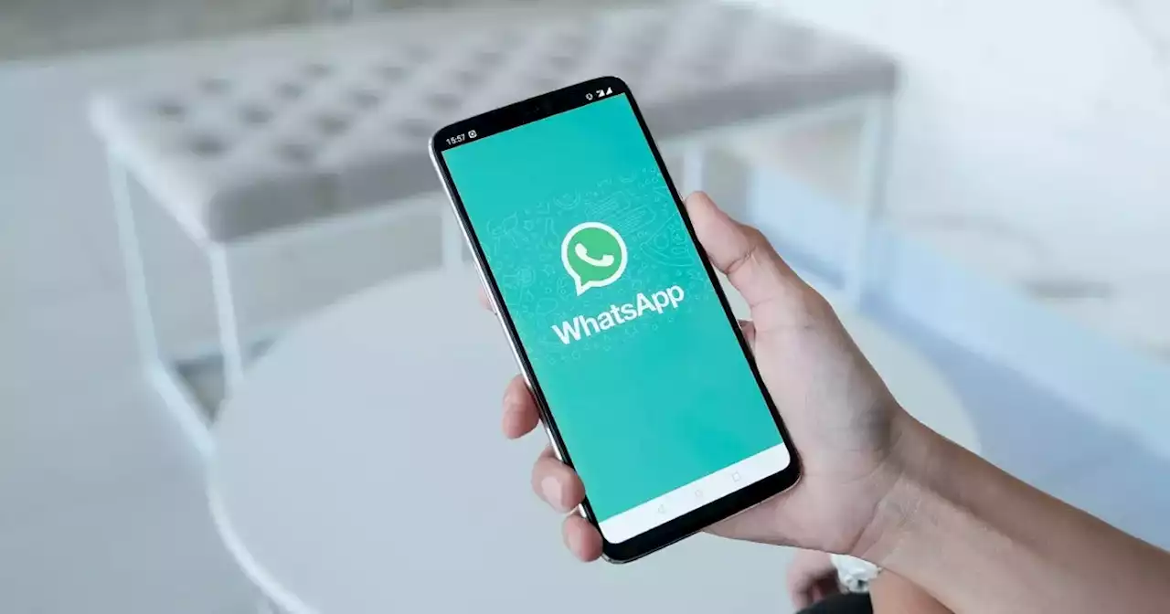 WhatsApp habilitó el “modo compañero”: para qué sirve y cómo funciona | Tecnología | La Voz del Interior