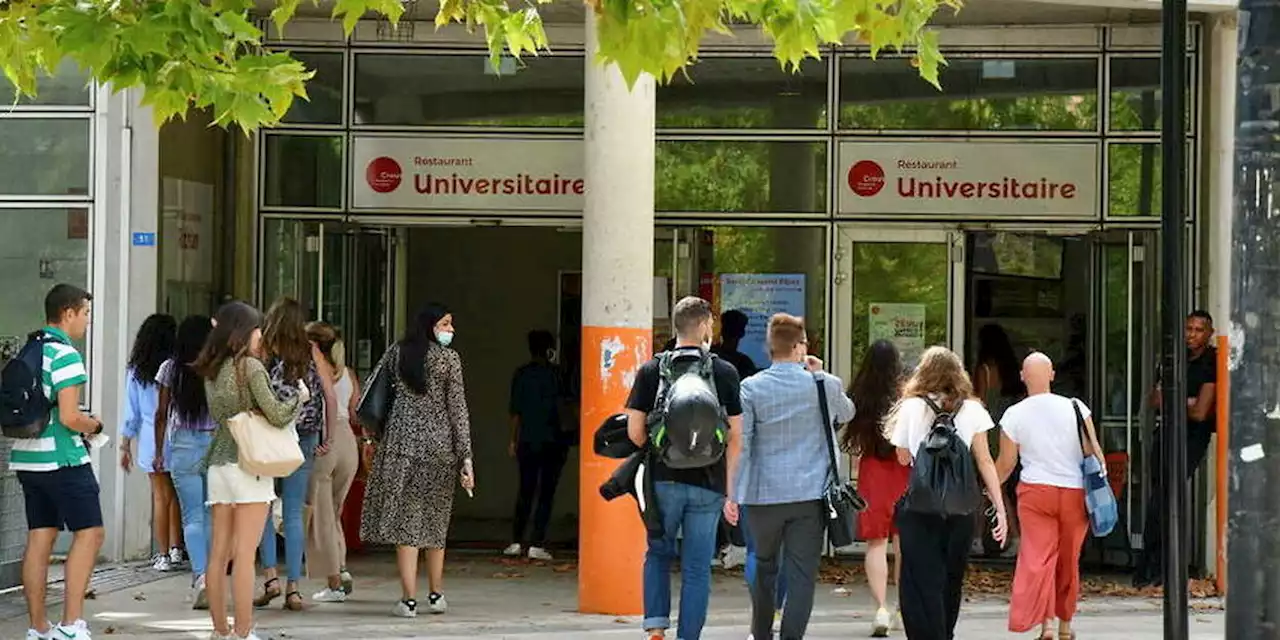 Violences sexuelles et sexistes : 54 % des étudiants en insécurité à l’université