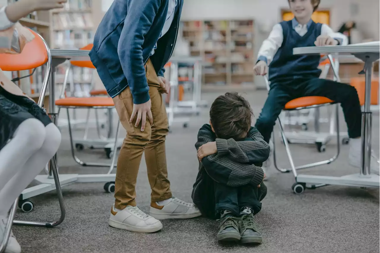 Contre le harcèlement scolaire, Pap Ndiaye menace d’exclusion les élèves harceleurs