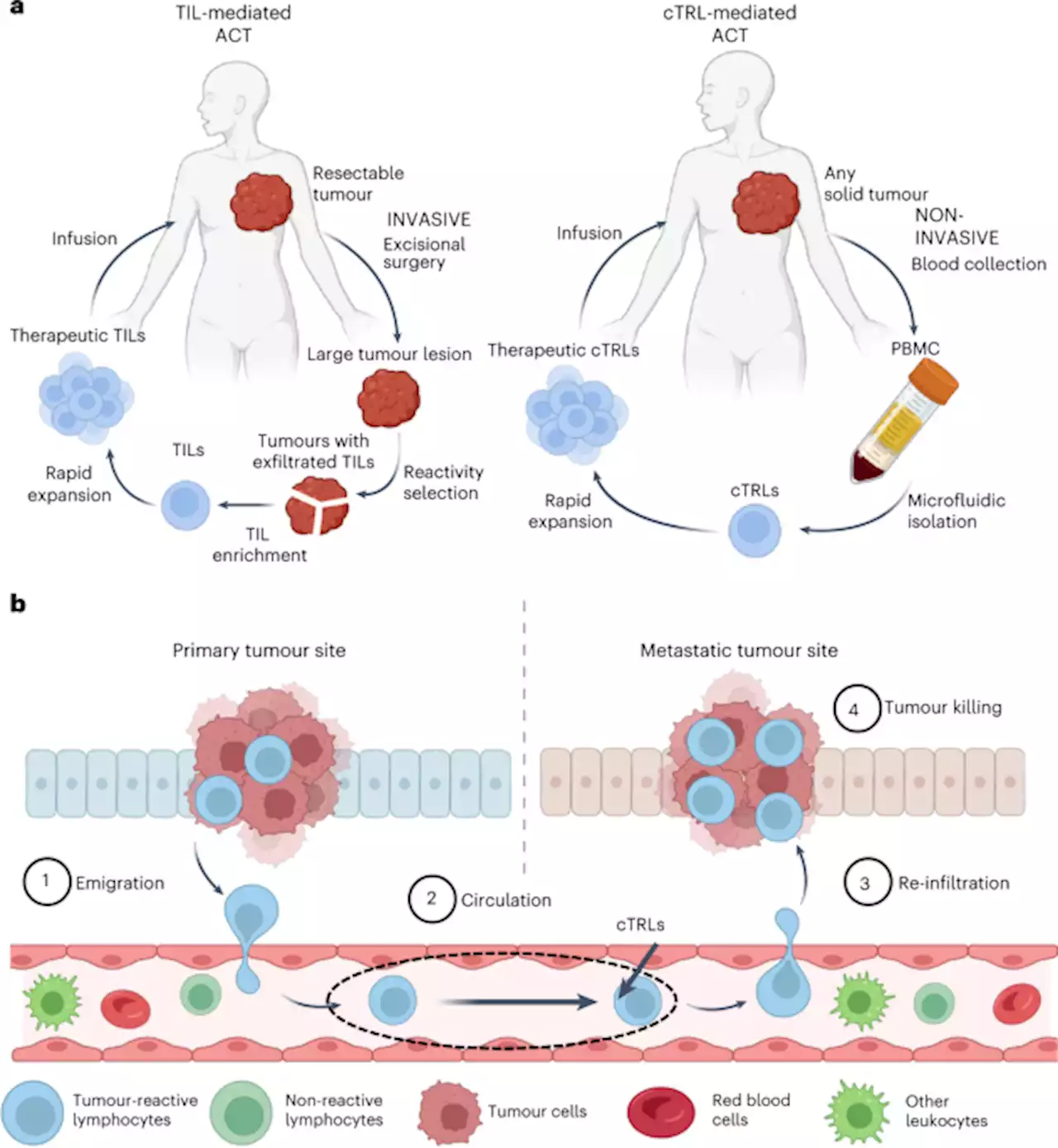 Isolation of tumour-reactive lymphocytes from peripheral blood via microfluidic immunomagnetic cell sorting - Nature Biomedical Engineering