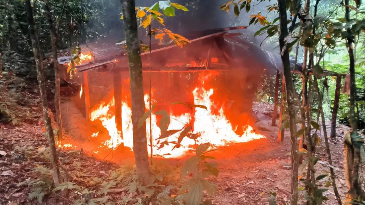 [FOTOS] Ejército destruyó seis laboratorios de procesamiento de coca que serían del ELN en Antioquia