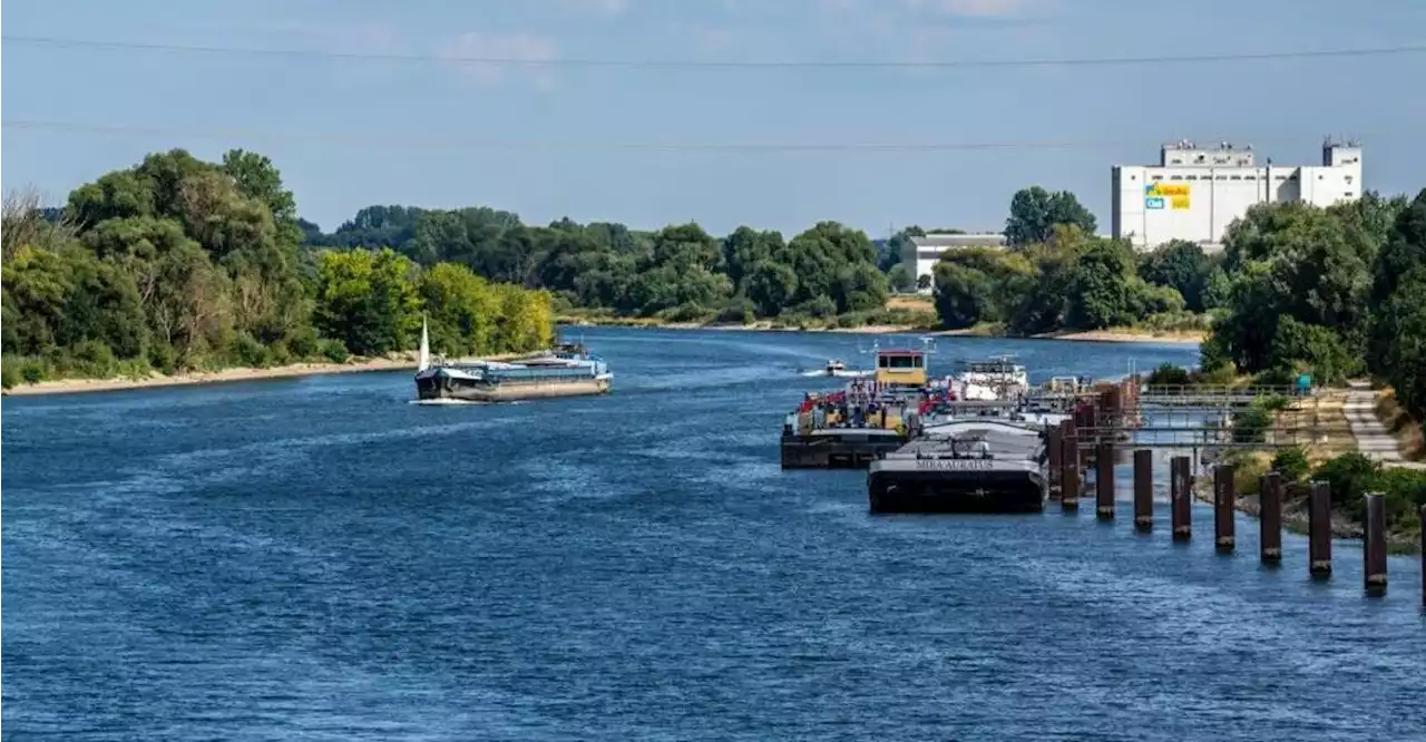 Schlangenlinien im Main-Donau-Kanal: Kapitän mit 2,3 Promille setzt Frachter auf Grund