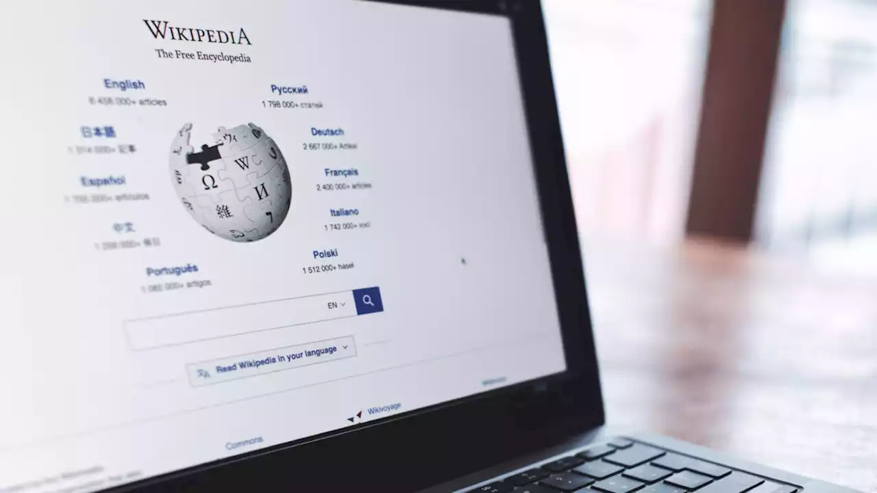 Digitale-Dienste-Gesetz: Was die neuen EU-Regeln für die Wikipedia bedeuten