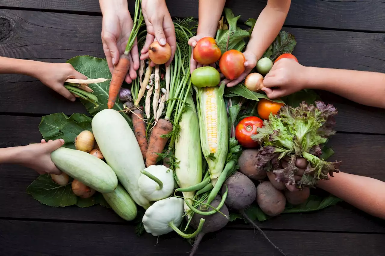 Promoting sustainable diets: Overcoming challenges to transform consumer behaviors