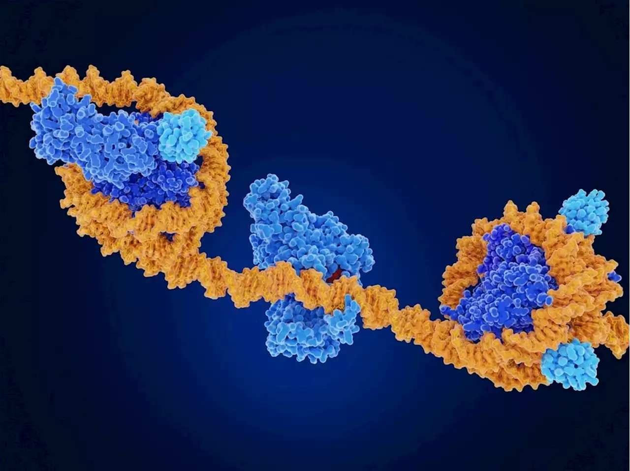 Understanding the Role of Epigenetics in Cancer