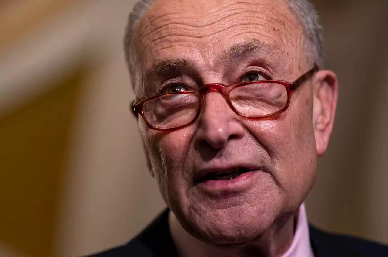 Chuck Schumer uses Trump demands to force Republicans into tough spot