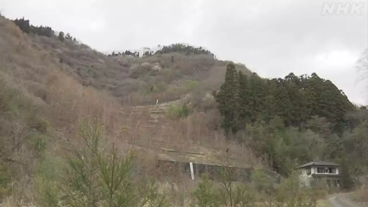 福島 茨城 “4月11日地震”から12年 被害を伝えるイチョウ植樹 | NHK