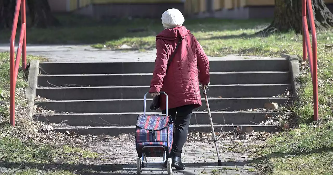 Update on DWP error for older women's State Pension back-payments