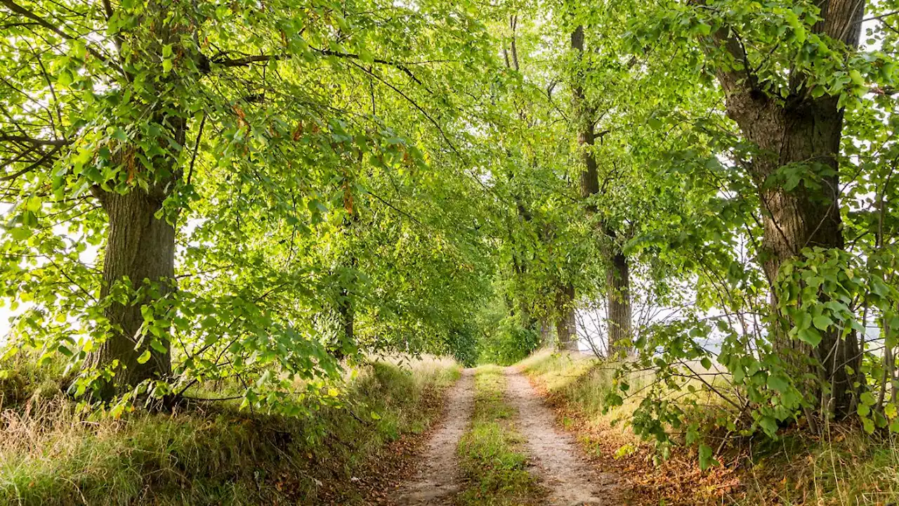 'Natur auf Rezept' ist heilsam