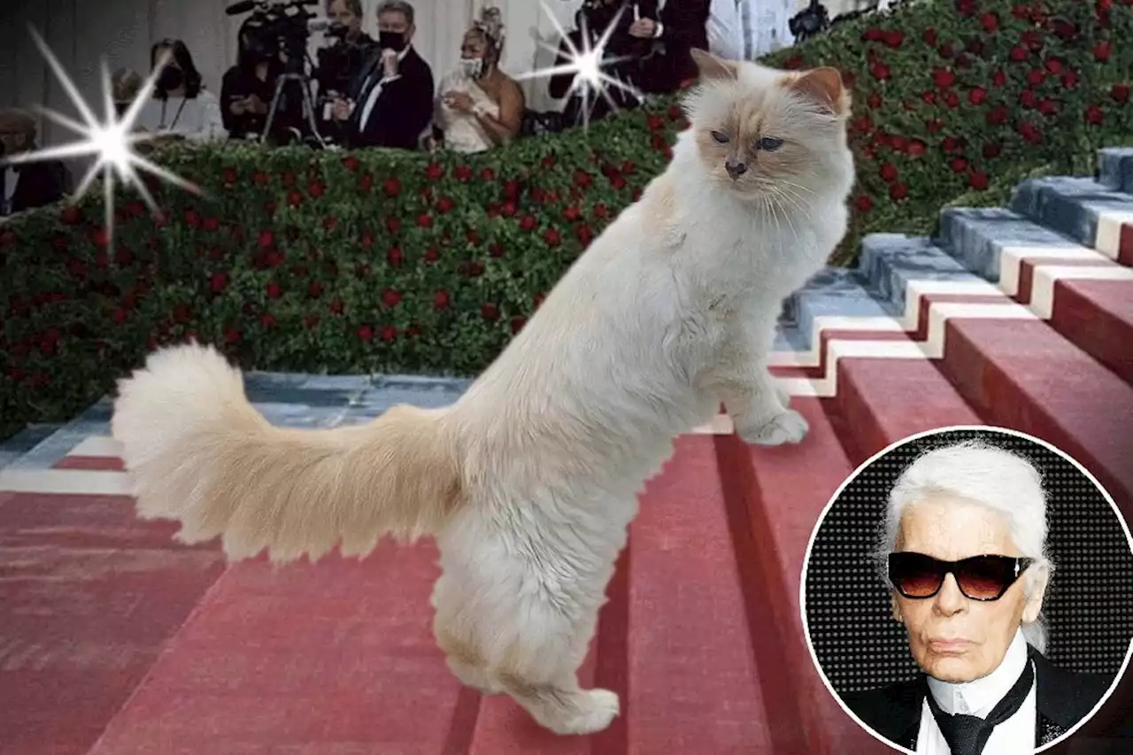 Karl Lagerfeld’s cat is alive, well — and invited to the 2023 Met Gala