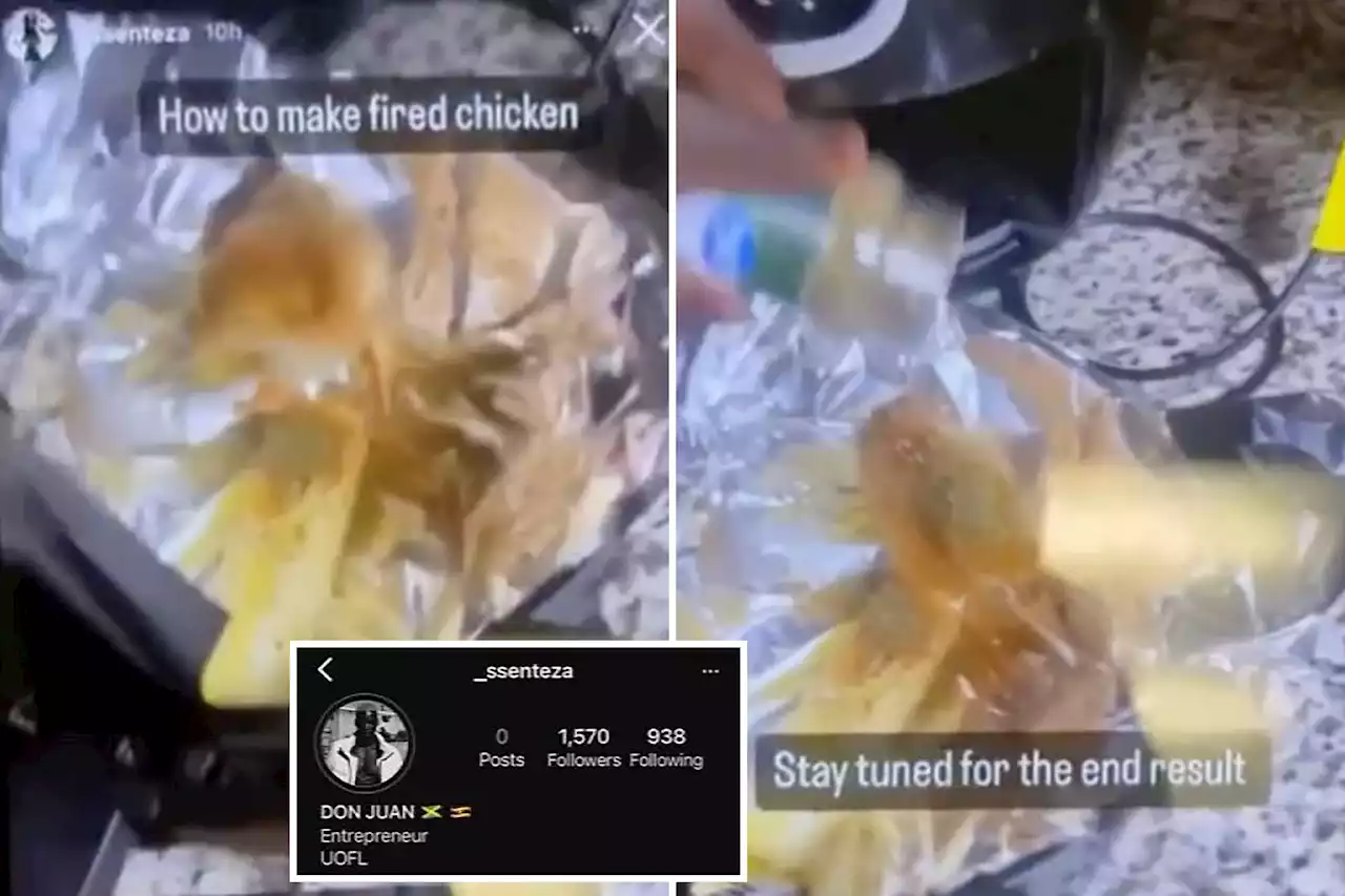 University of Louisville student investigated for air frying live baby chicks