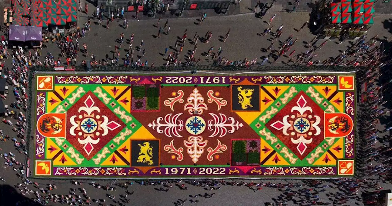 Reconocen a nivel nacional el arte de la Alfombra de Flores de Uriangato