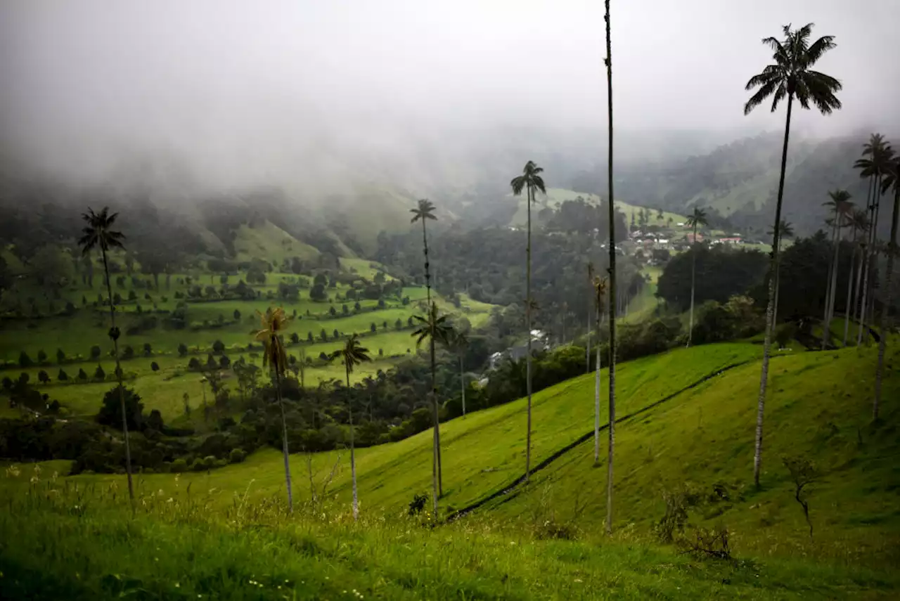 Alerta de posible erupción del Nevado del Ruiz frenó llegada de turistas a Quindío - Pulzo