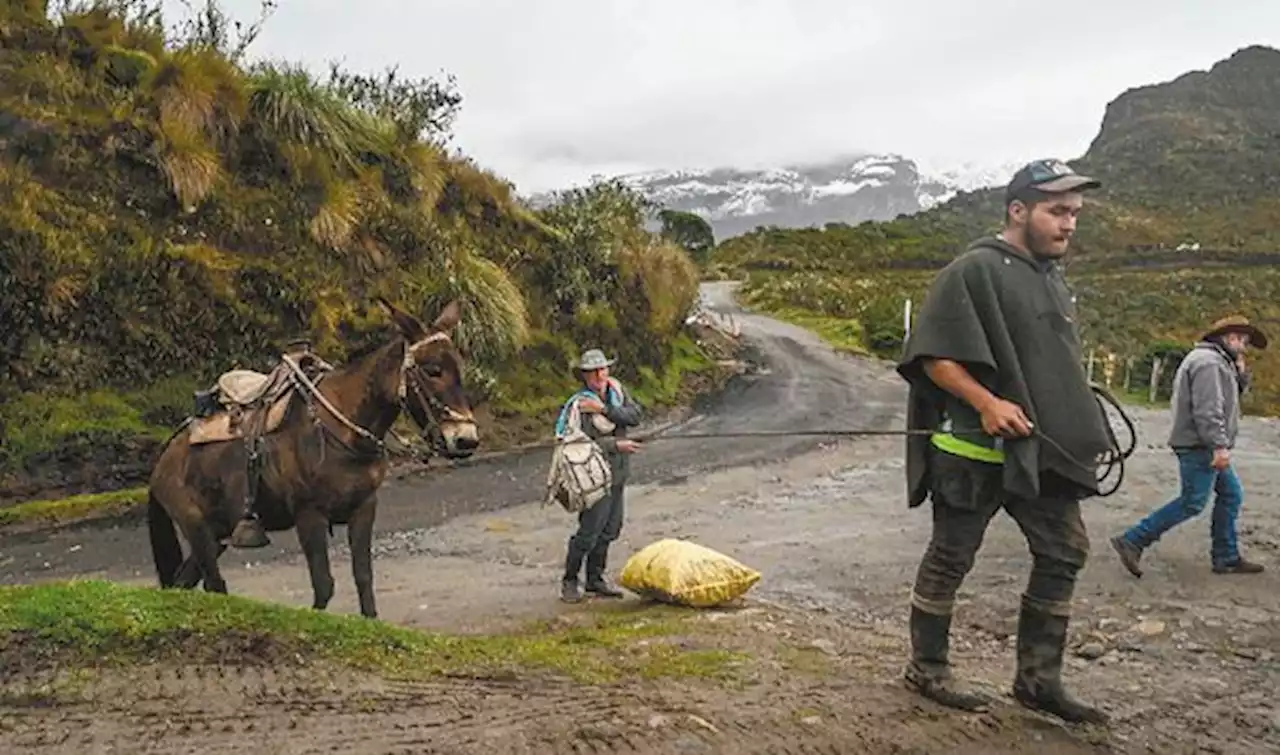 Alerta en Nevado del Ruiz pellizcó a gobernaciones para priorizar mantenimiento de vías - Pulzo