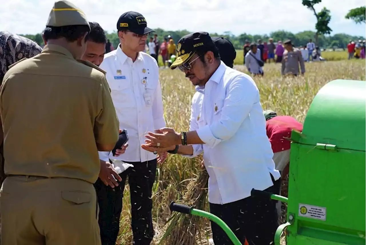 Mentan Dorong Implementasi Empat Kali Panen Setahun |Republika Online