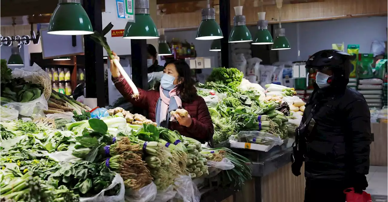 China's consumer, factory prices skid as demand falters