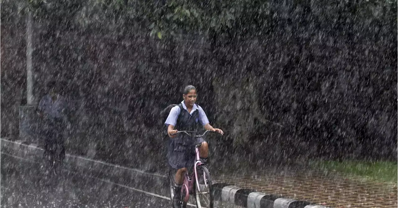 India expected to see normal monsoon rains, to boost crop output