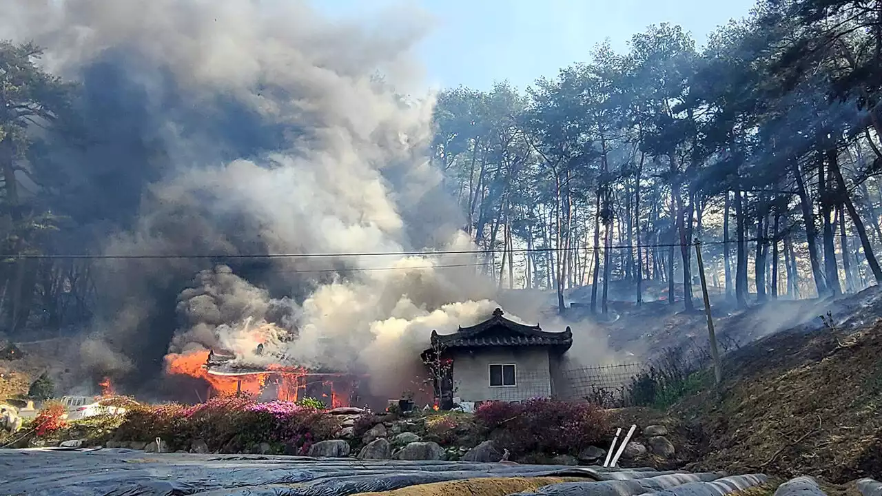 [속보] 강릉 강풍에 불길 민가로 번져…소방 대응 2단계 발령