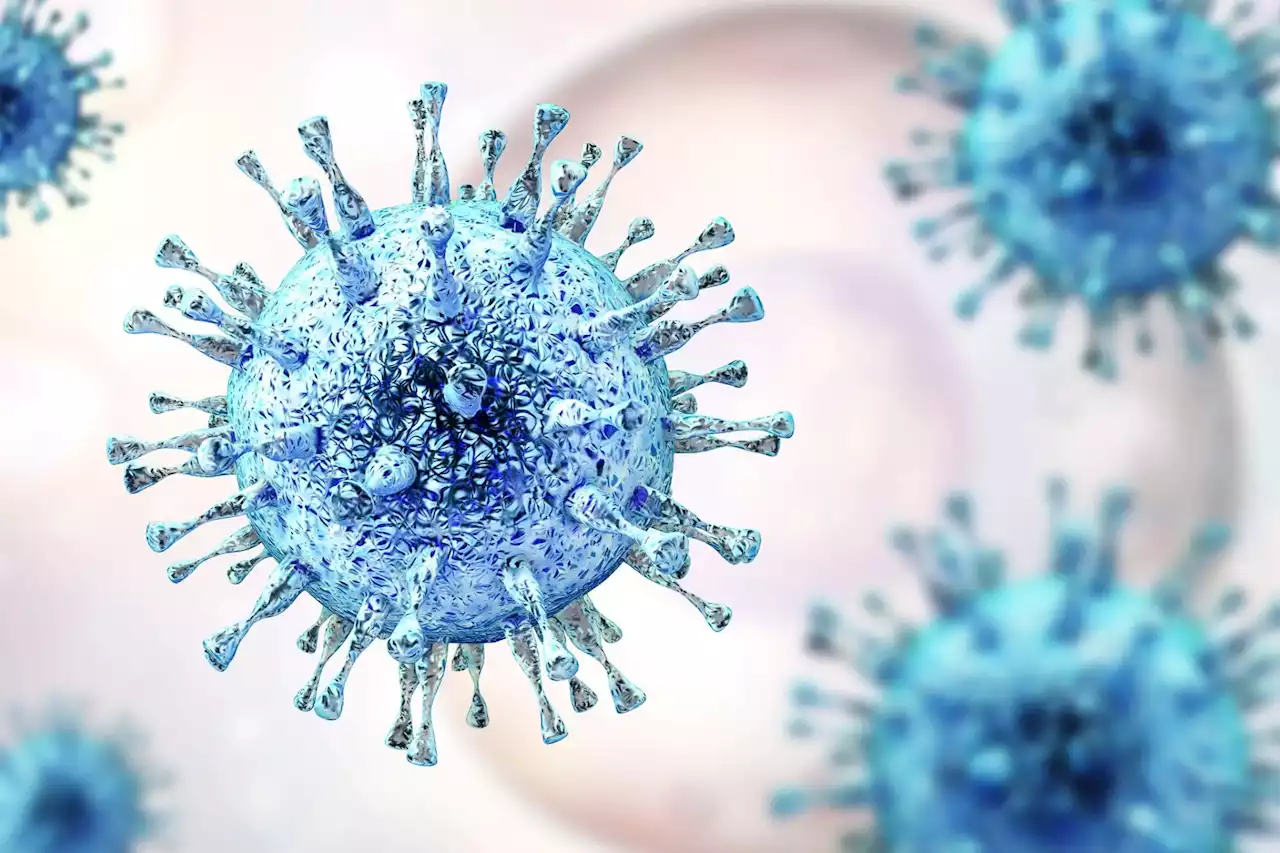 HIV Genomes: Johns Hopkins Scientists Discover New Target To Eliminate Infections