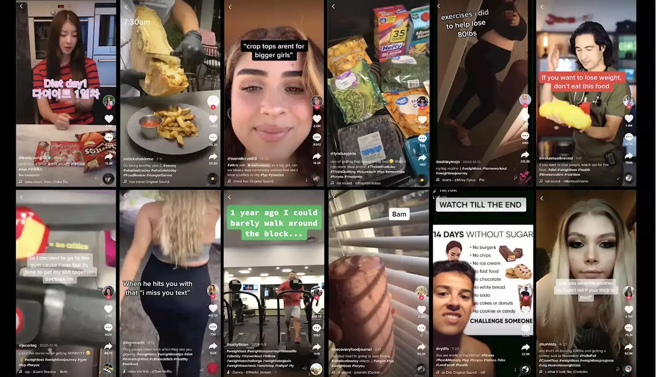 TikTok’s Unhealthy Obsession: The Dark Side of Food and Nutrition Content