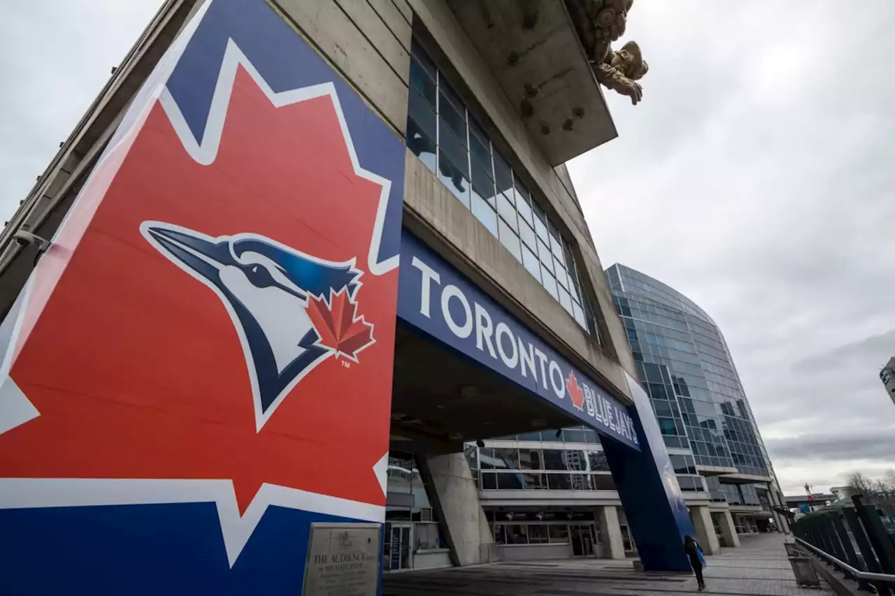 VIDEO: Blue Jays fans everywhere believe this is the year