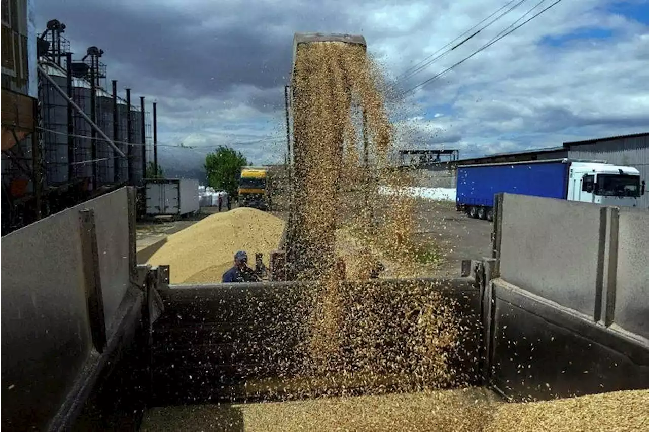 Australia reaches deal with China to resolve barley dispute