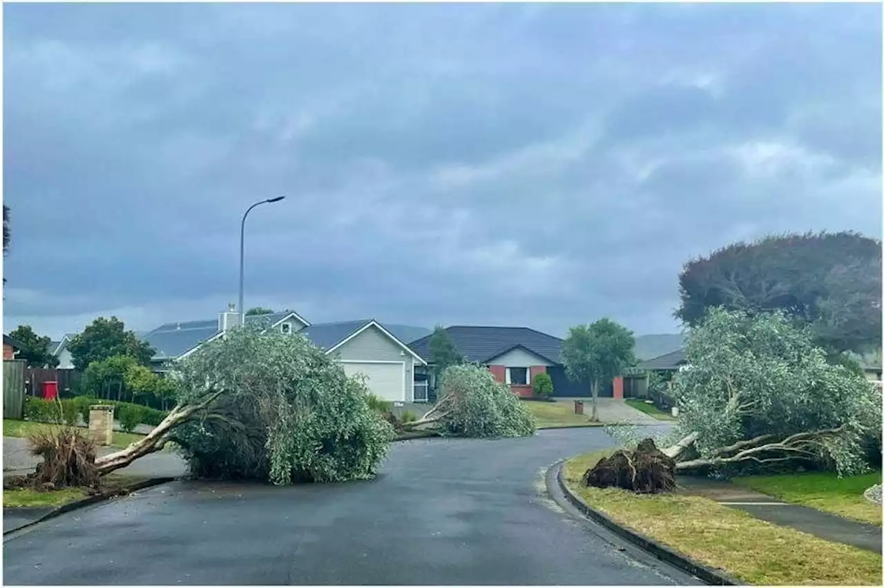 New Zealand's lower North Island hit by tornadoes