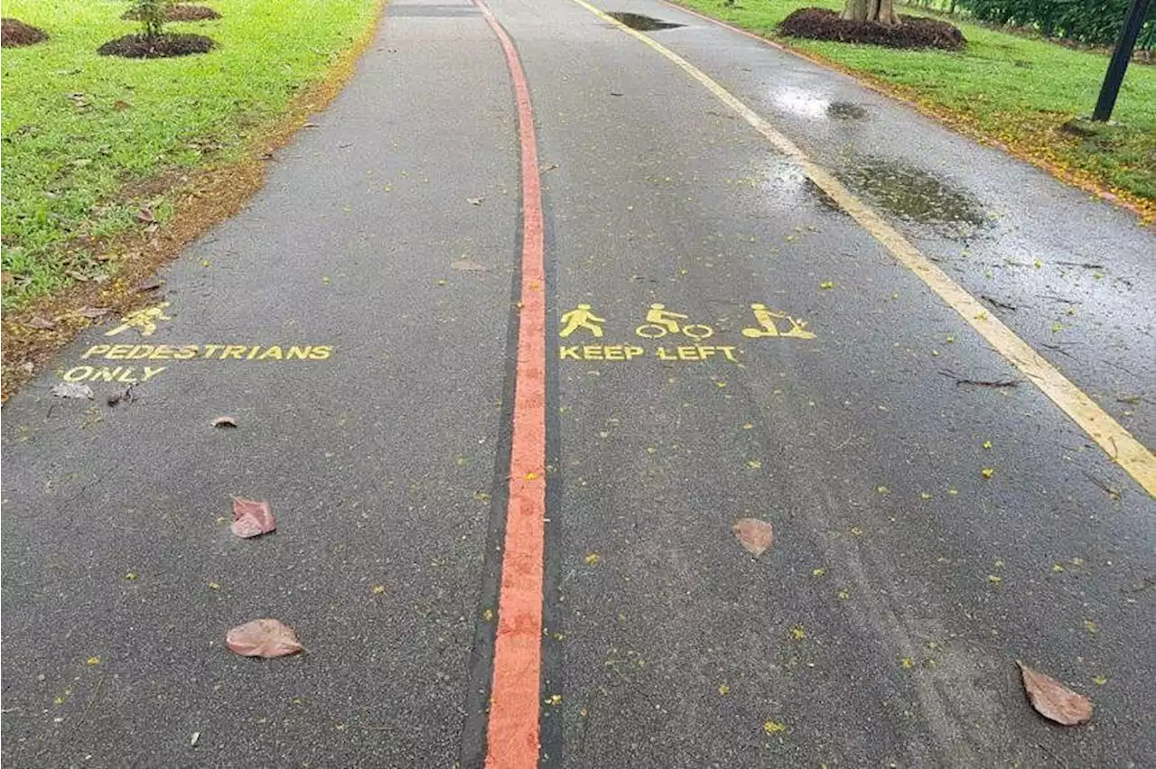 Symbols on park paths in pilot programme puzzle some users