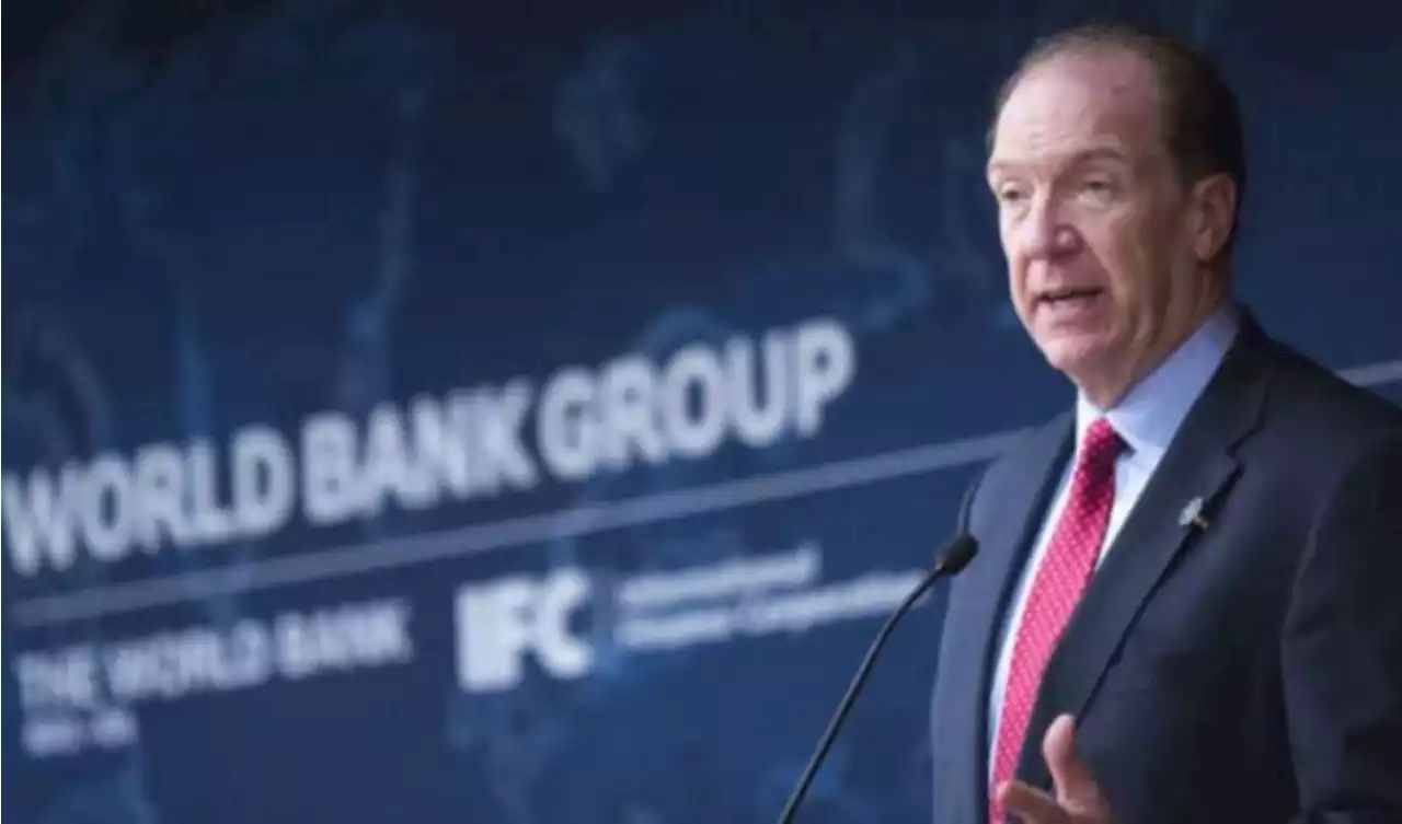 World Bank upgrades 2023 global growth forecast from 1.7% to 2% | TheCable