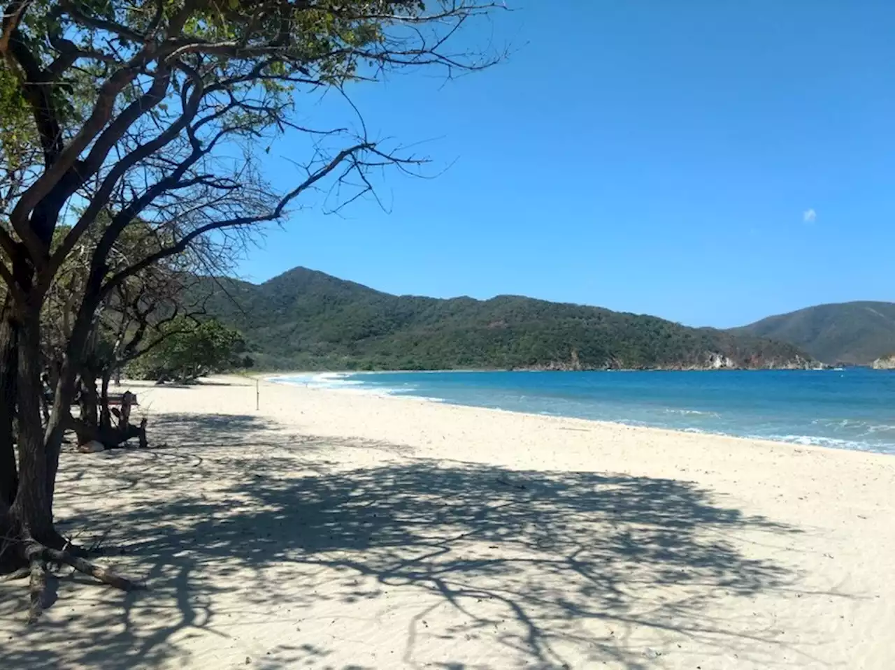 Pesca con dinamita puso en riesgo la vida de buceadores en el Parque Tayrona