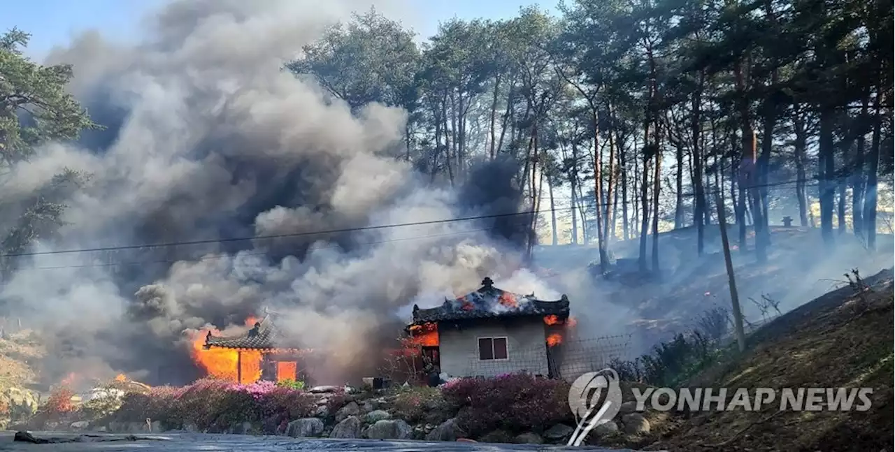 강릉 순간풍속 30ｍ 태풍급 강풍 속 산불 확산…주민대피령 | 연합뉴스