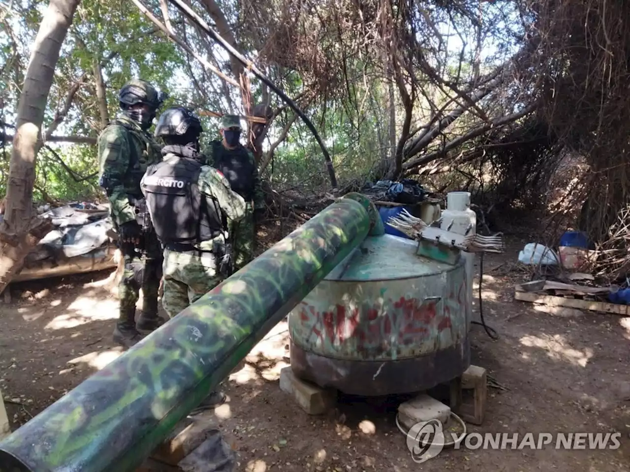 멕시코 '중국소녀·흰염소…주위서 이런 단어 들리면 접근 말라' | 연합뉴스