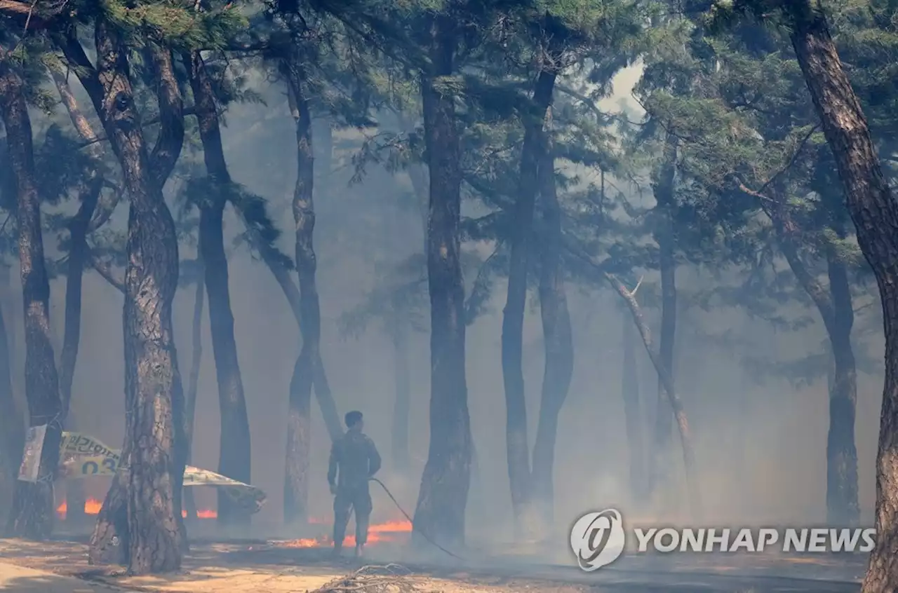 [강릉산불] 바람 잦아들자 헬기 3대 투입…370㏊ 소실·65% 진화 | 연합뉴스