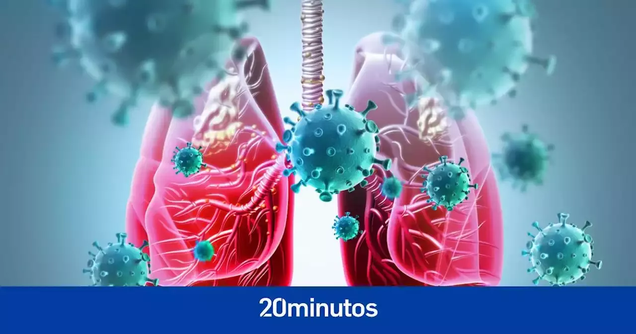 El Mayor Estudio Del ADN Del Cáncer De Pulmón Da Con La 'clave': Desvela Por Qué Muta A Lo Largo ...