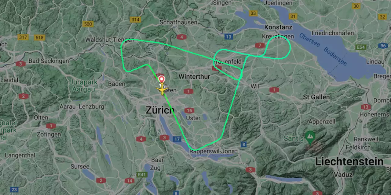 Airbus A321 von Swiss muss nach Vogelschlag umkehren - aeroTELEGRAPH