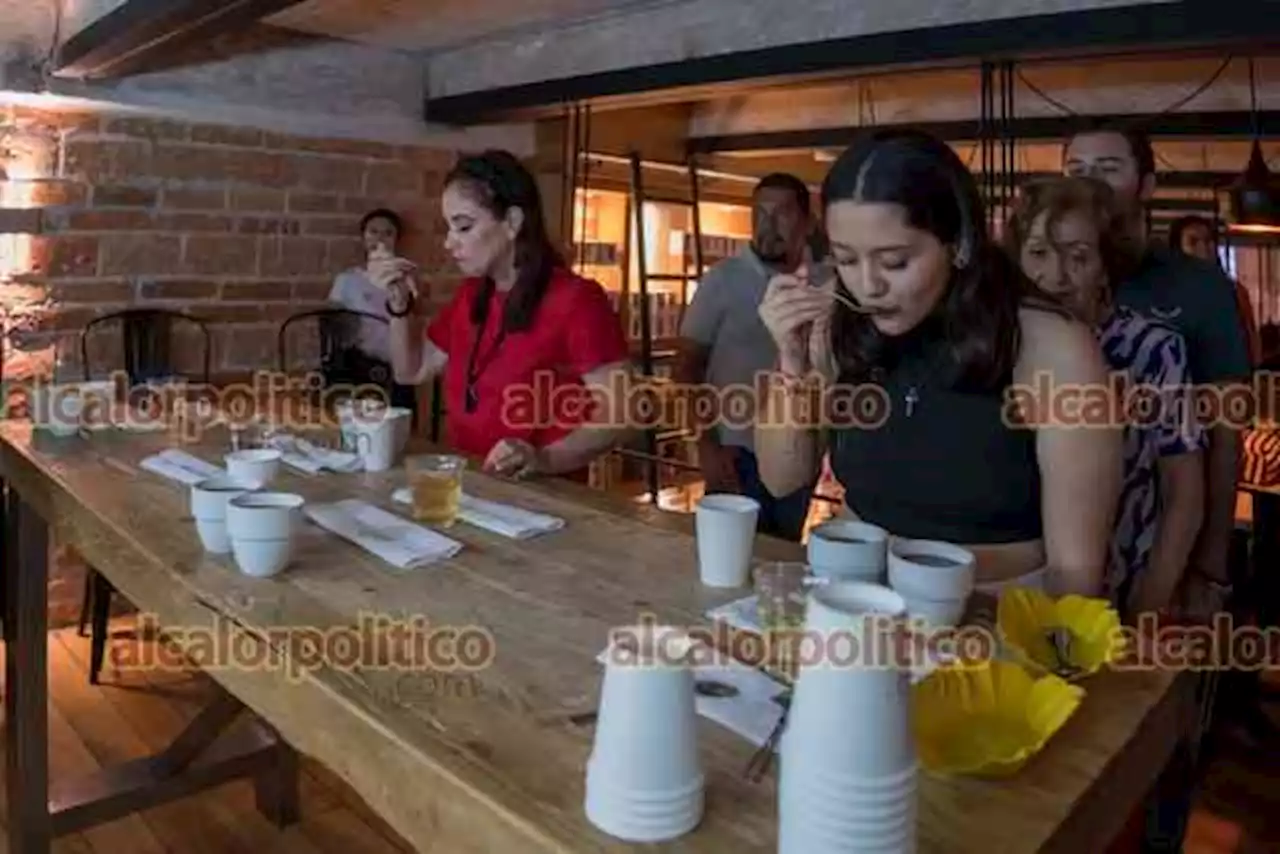 Las mejores muestras de café, en certamen Taza de Excelencia, en Córdoba