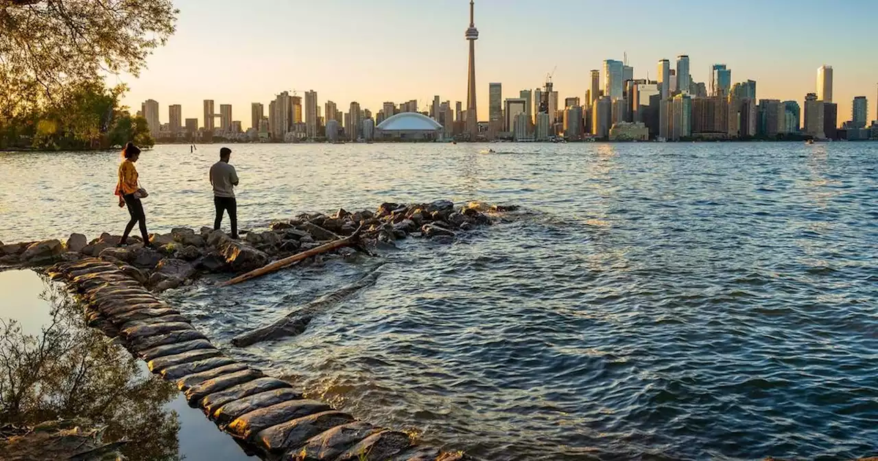 Toronto group helps find out if you are dating the same guy as someone else