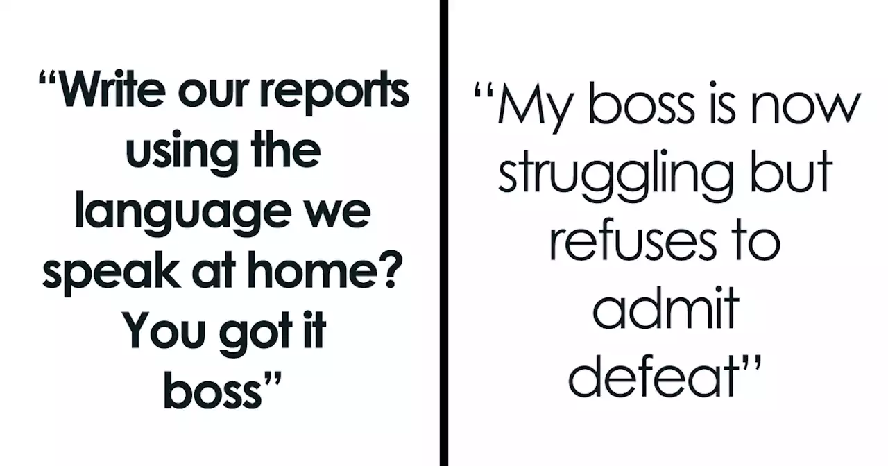 “I’m Now Writing In British Slang”: Employees Maliciously Comply With New Report Writing Policy And Management Lives To Regret It