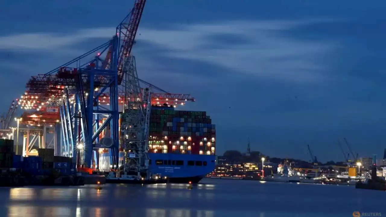 Germany to review China stake in Hamburg port terminal