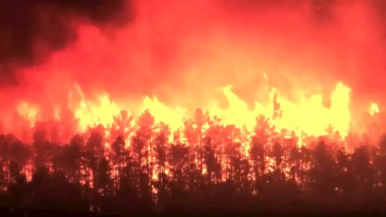 Southern New Jersey wildfire has ballooned to 2,500 acres and prompted evacuations | CNN