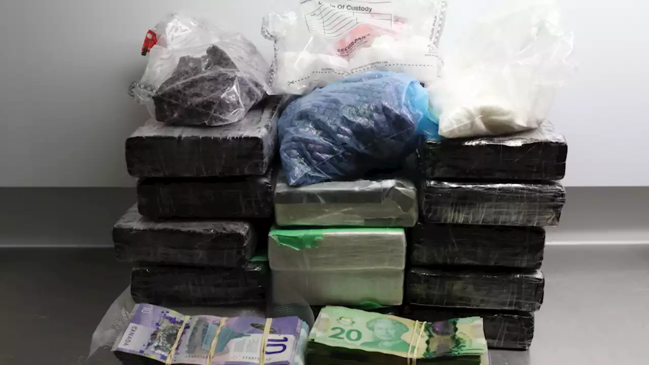 Halton police seize $1M in drugs, arrest 2 after long investigation