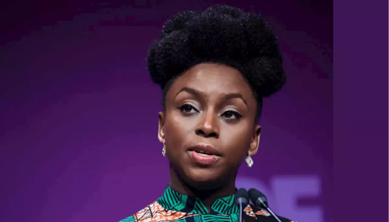 2023 presidential election unforgivably flawed - Chimamanda Adichie