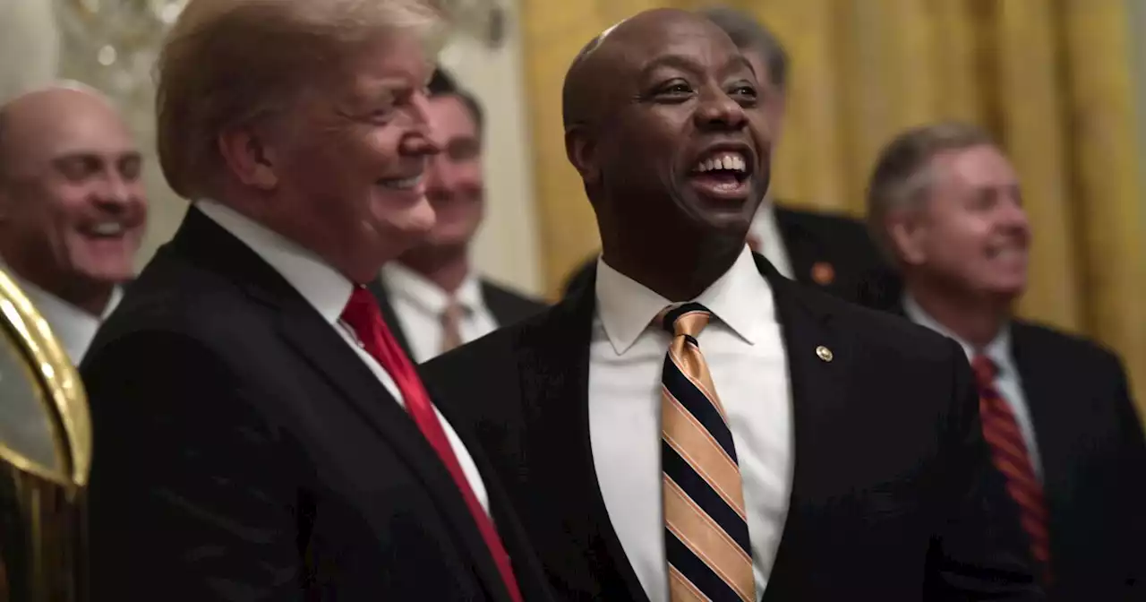 Tim Scott couldn’t win home state but challenges Trump and Haley