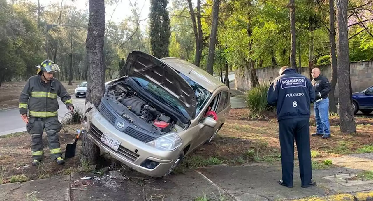 Alerta vial: Auto se estrella contra árbol en la colonia Bosques de las Lomas | El Universal