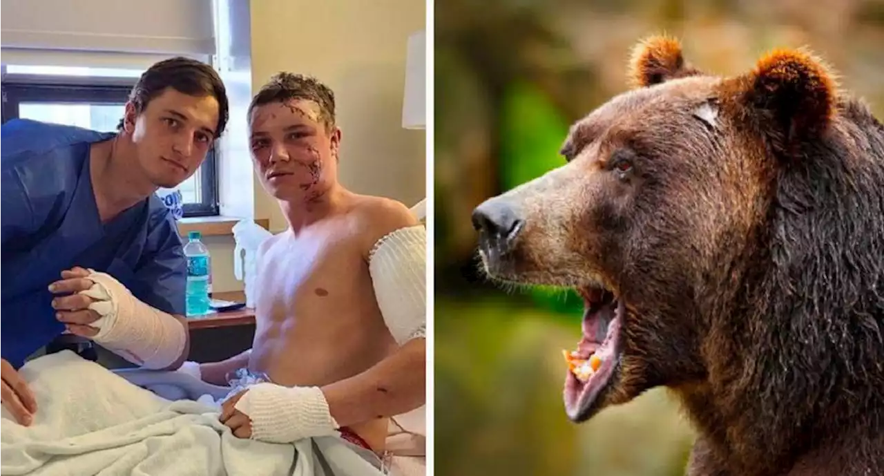 Joven héroe se enfrenta a un oso para salvar la vida de su amigo | El Universal