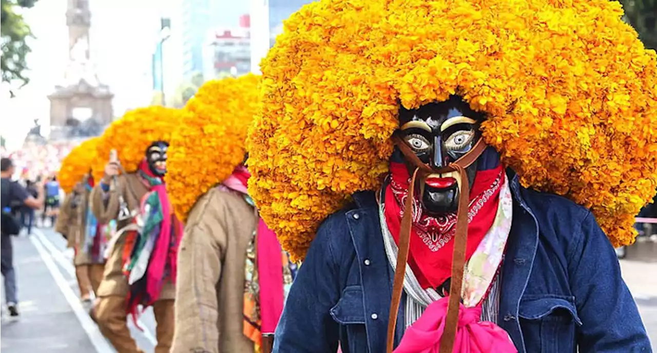 Preparan segundo Festival de las Flores en el Centro Histórico, tendrá acceso gratuito | El Universal