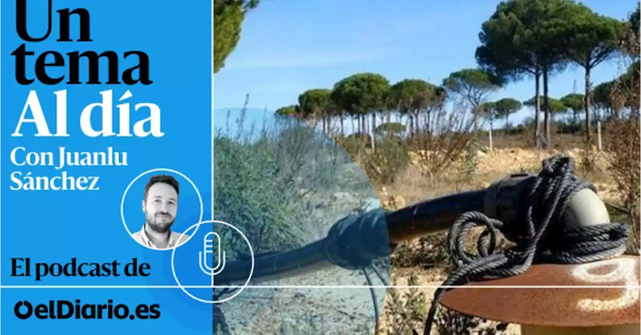 🎙 PODCAST | Doñana: un desastre natural y político